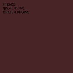 #492426 - Crater Brown Color Image